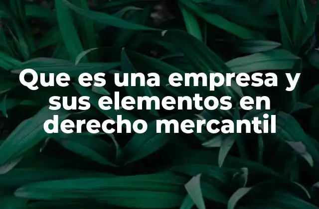 Que es una Empresa y Sus Elementos en Derecho Mercantil