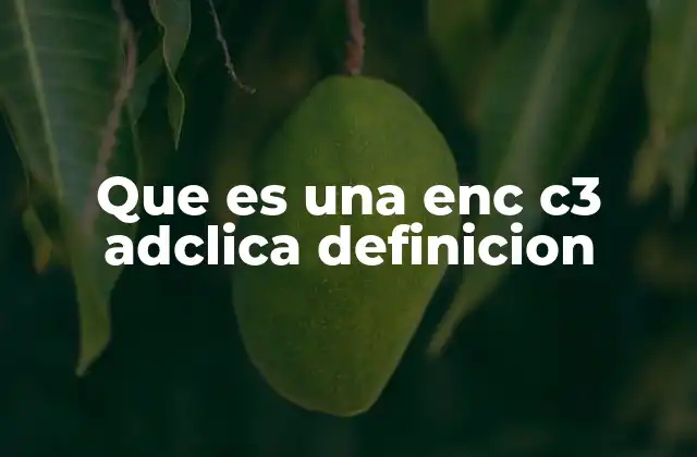 Que es una Enc C3 Adclica Definicion 2 El propósito detrás de las encuestas de este tipo