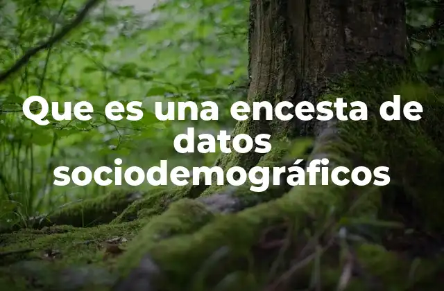 Que es una Encesta de Datos Sociodemográficos
