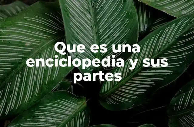 Que es una Enciclopedia y Sus Partes