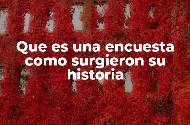 Que es una Encuesta como Surgieron Su Historia