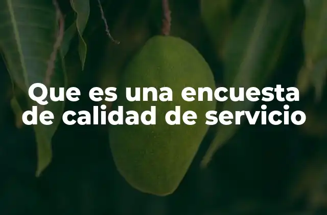 Que es una Encuesta de Calidad de Servicio