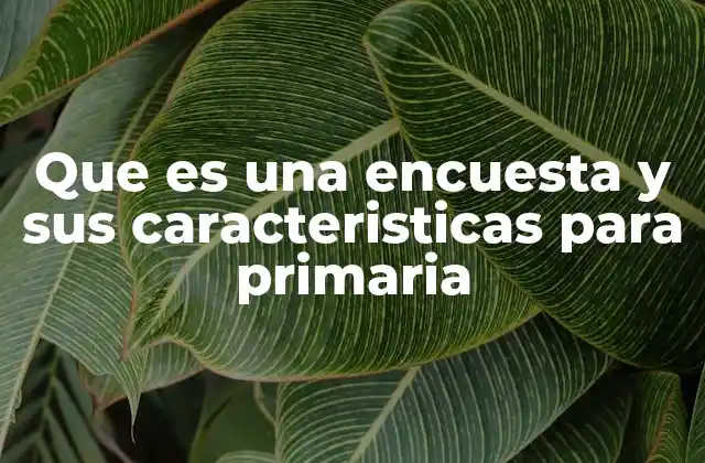 Que es una Encuesta y Sus Caracteristicas para Primaria