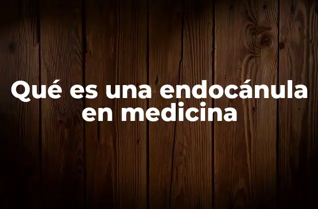 Qué es una Endocánula en Medicina