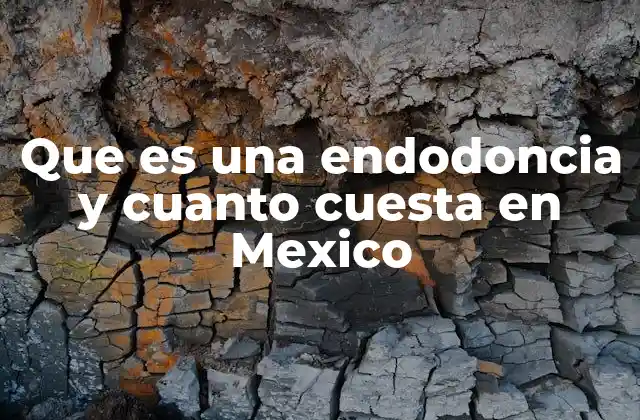 Que es una Endodoncia y Cuanto Cuesta en Mexico 2 El proceso detrás del tratamiento de endodoncia