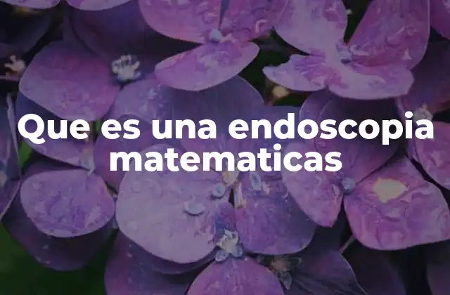 Que es una Endoscopia Matematicas