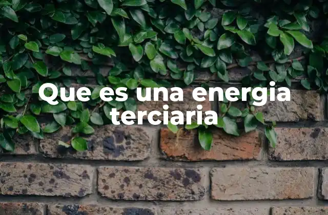 Que es una Energia Terciaria