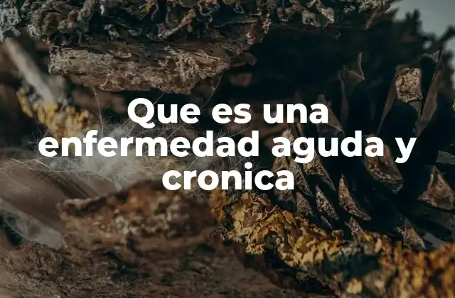 Que es una Enfermedad Aguda y Cronica