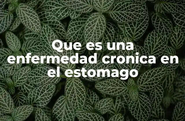 Que es una Enfermedad Cronica en el Estomago 2 Trastornos digestivos que afectan al sistema gástrico