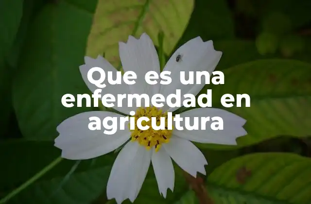 Que es una Enfermedad en Agricultura