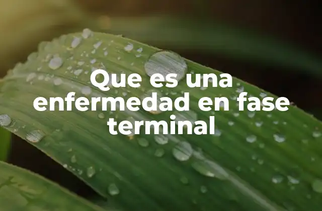 Que es una Enfermedad en Fase Terminal