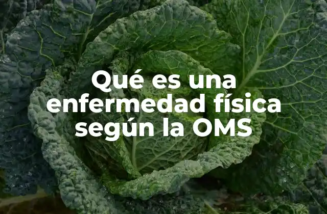 Qué es una Enfermedad Física según la Oms