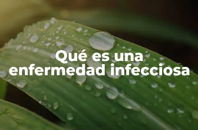 Qué es una Enfermedad Infecciosa 2 Causas y mecanismos de transmisión de las enfermedades infecciosas