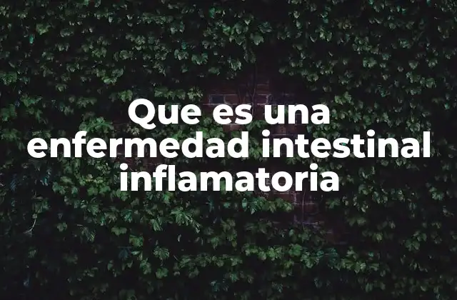 Que es una Enfermedad Intestinal Inflamatoria