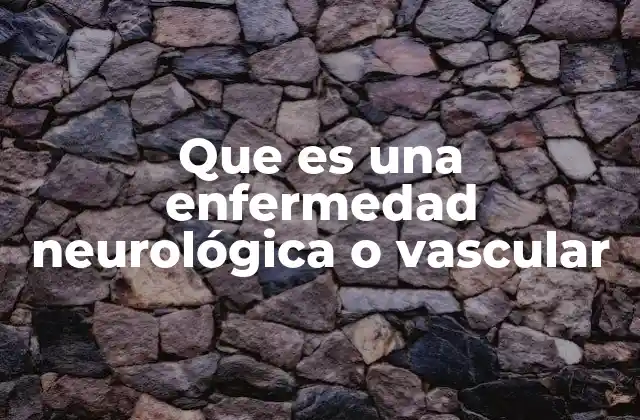 Que es una Enfermedad Neurológica o Vascular