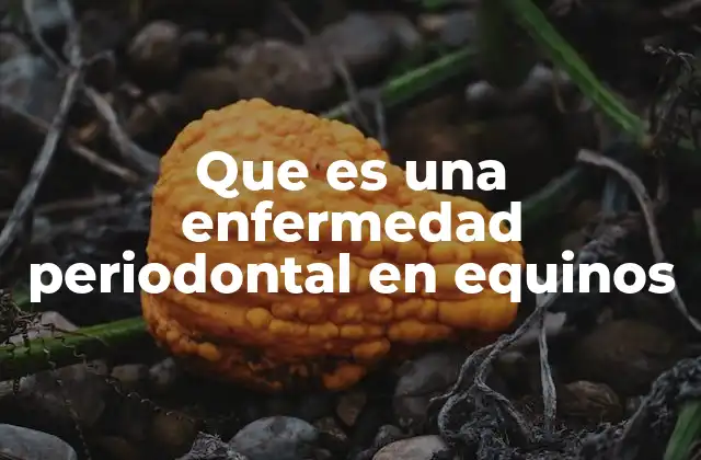 Que es una Enfermedad Periodontal en Equinos