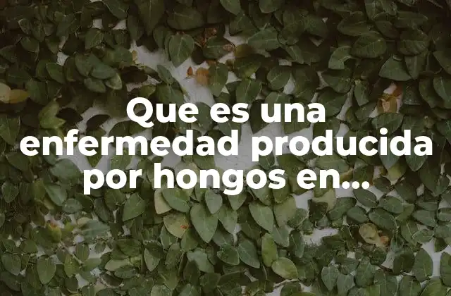Que es una Enfermedad Producida por Hongos en Animales