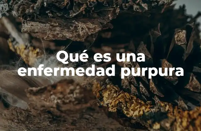 Causas comunes detrás de las lesiones purpúricas