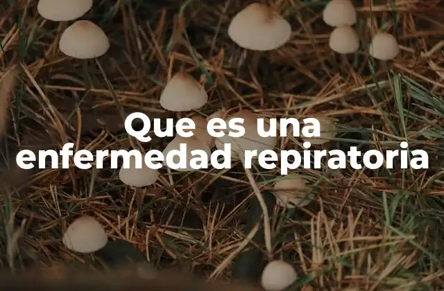 Que es una Enfermedad Repiratoria