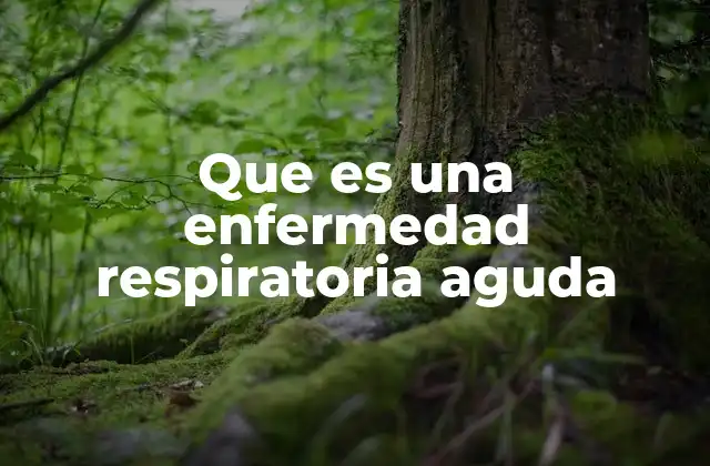 Que es una Enfermedad Respiratoria Aguda