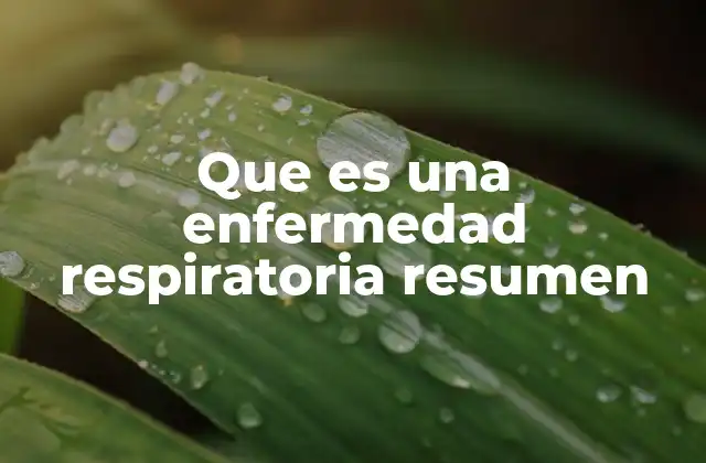 Que es una Enfermedad Respiratoria Resumen