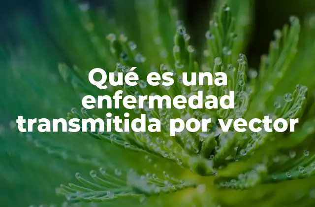 Qué es una Enfermedad Transmitida por Vector