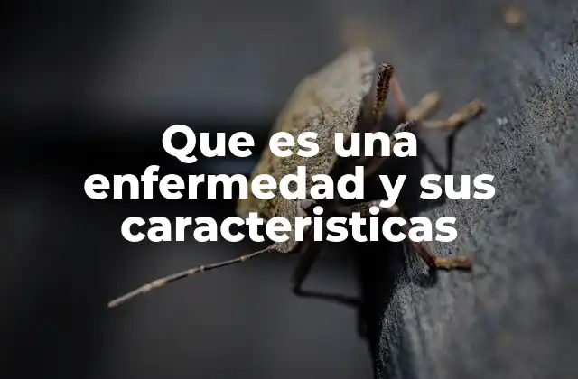 Clasificación y tipos de enfermedades según su naturaleza