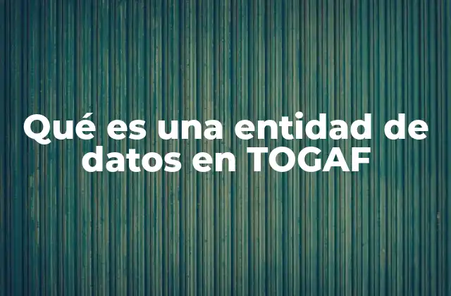 Qué es una Entidad de Datos en Togaf