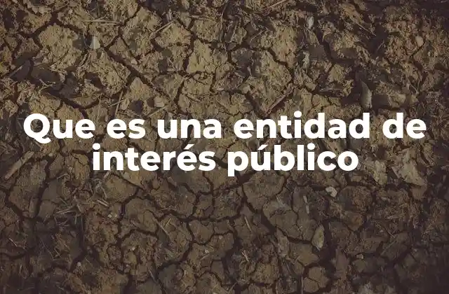 Que es una Entidad de Interés Público