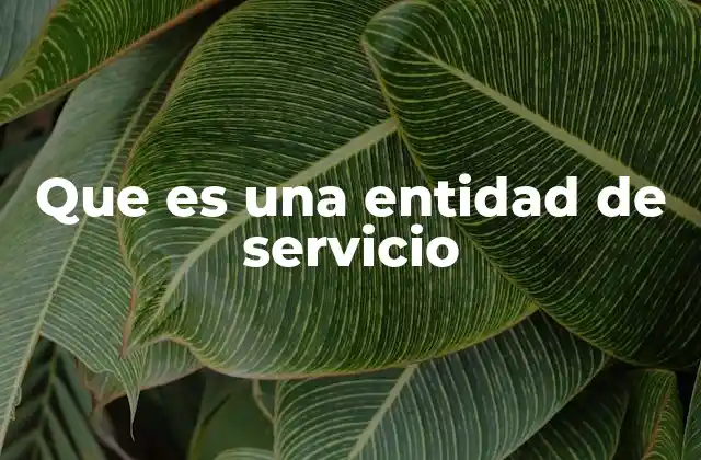 Rol de las entidades de servicio en la arquitectura de software