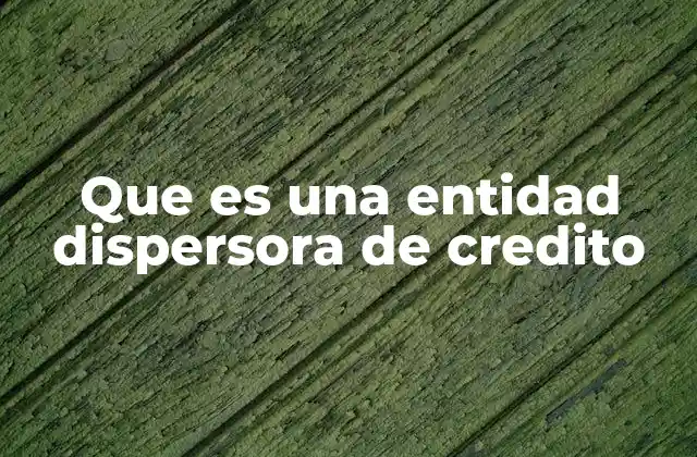 Que es una Entidad Dispersora de Credito