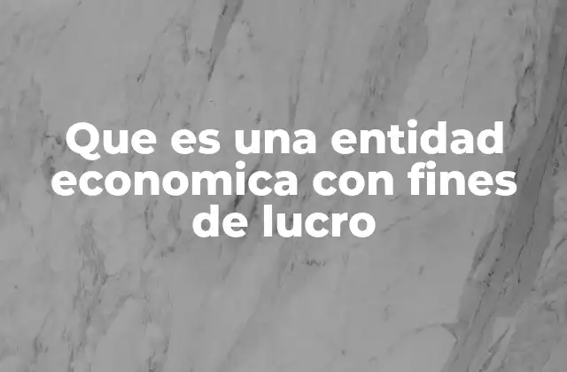 Que es una Entidad Economica con Fines de Lucro