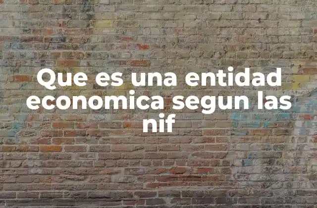 Que es una Entidad Economica Segun las Nif