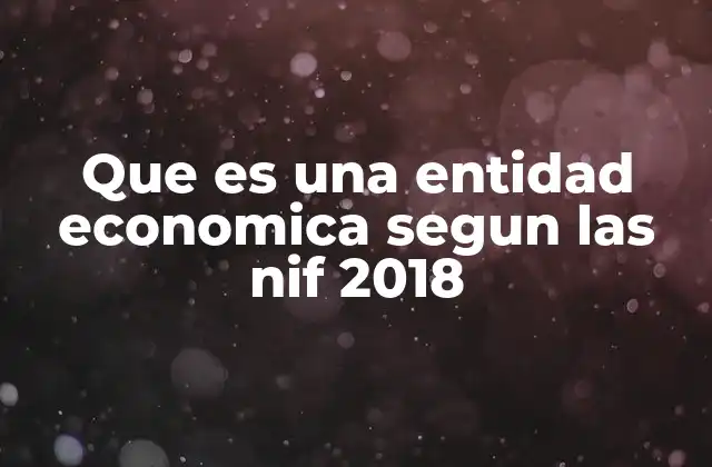 Que es una Entidad Economica Segun las Nif 2018