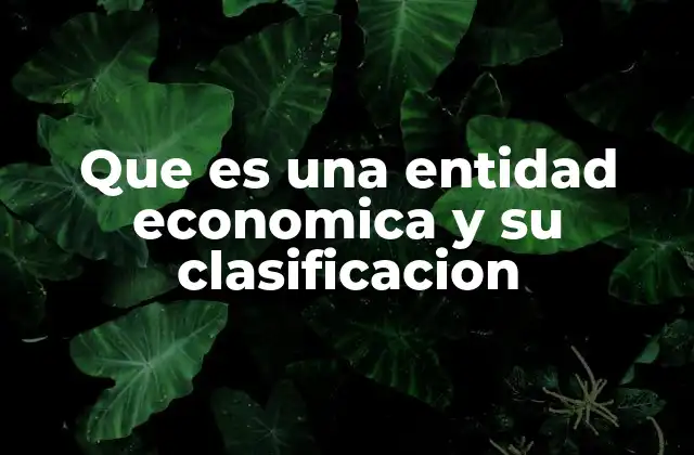 Que es una Entidad Economica y Su Clasificacion