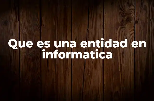 Que es una Entidad en Informatica