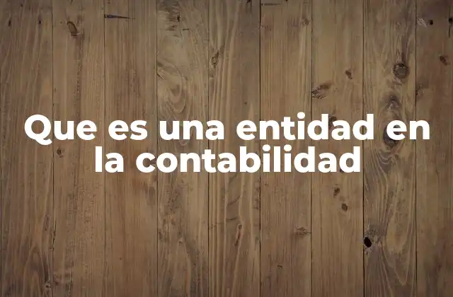 Que es una Entidad en la Contabilidad