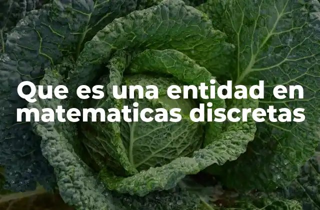 Que es una Entidad en Matematicas Discretas