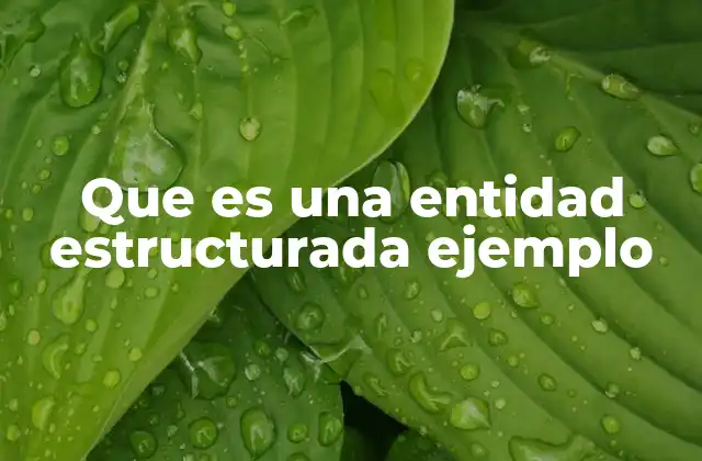 Que es una Entidad Estructurada Ejemplo