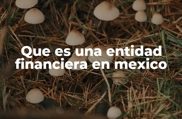 Que es una Entidad Financiera en Mexico