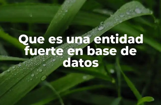 Diferencias entre entidades fuertes y débiles