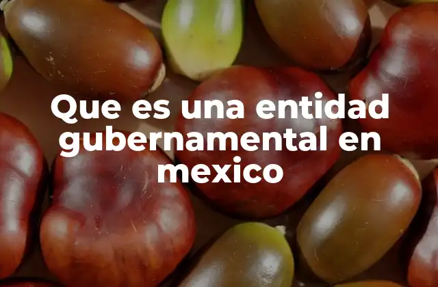 Que es una Entidad Gubernamental en Mexico