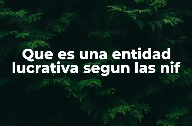 Que es una Entidad Lucrativa Segun las Nif