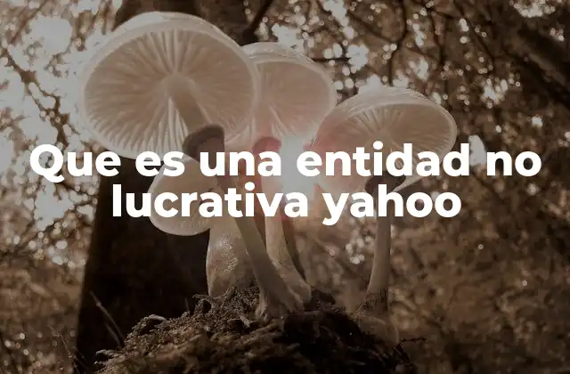 Que es una Entidad No Lucrativa Yahoo
