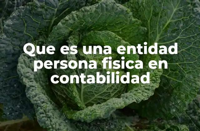 Que es una Entidad Persona Fisica en Contabilidad