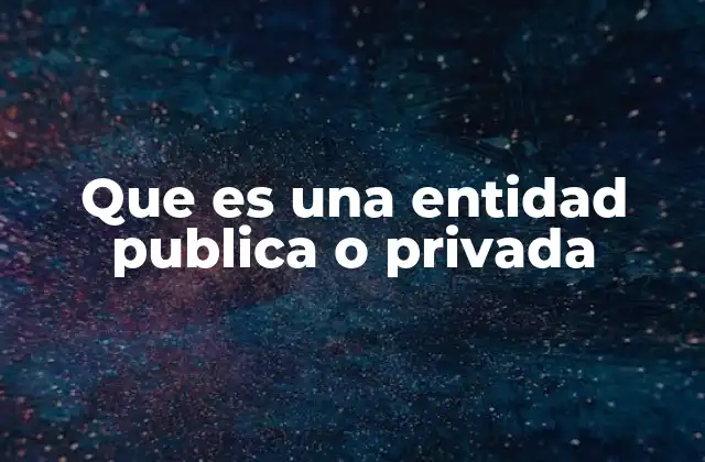 Que es una Entidad Publica o Privada