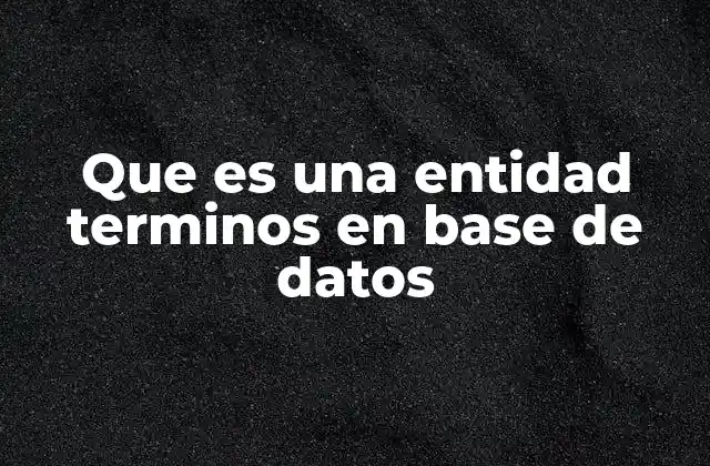 Que es una Entidad Terminos en Base de Datos