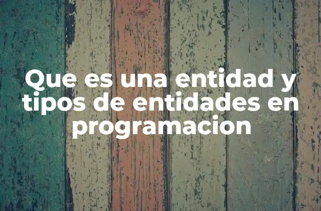 Que es una Entidad y Tipos de Entidades en Programacion 2 Modelando el mundo real con entidades