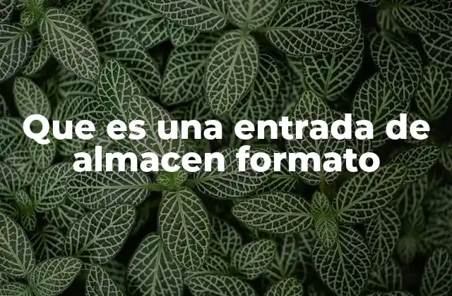 Que es una Entrada de Almacen Formato