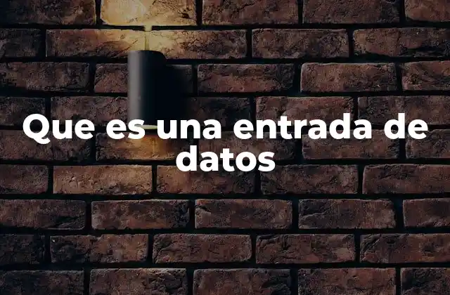 Que es una Entrada de Datos